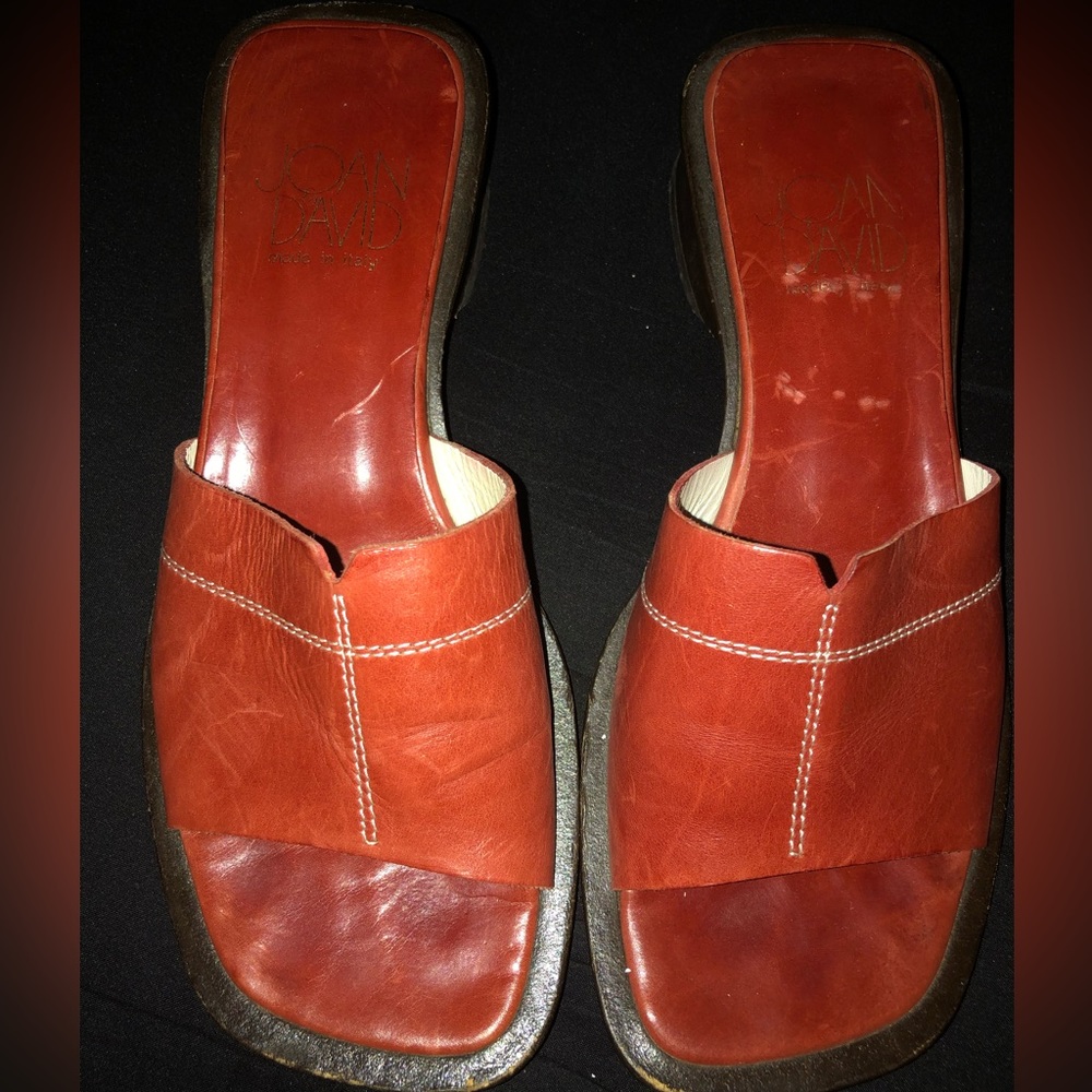 Joan & David Italian Leather Shoes